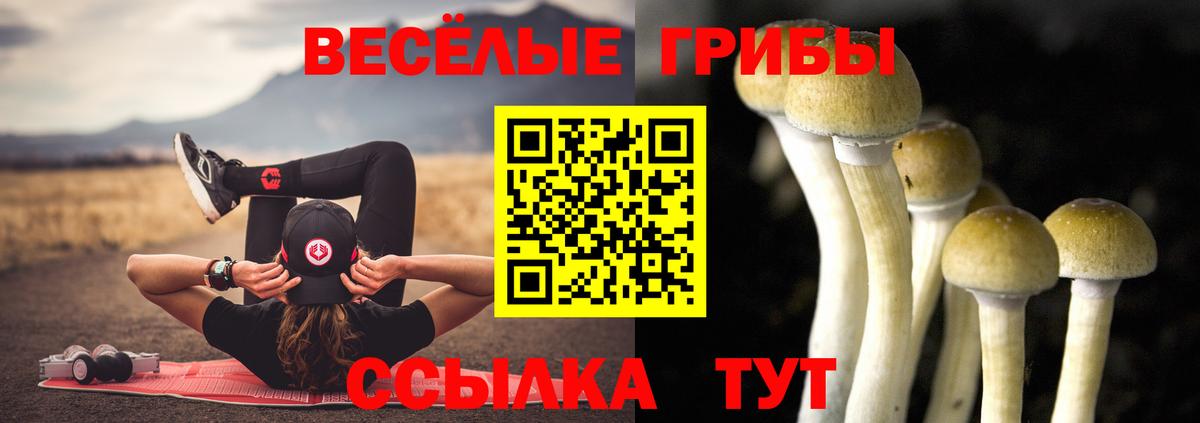 Пугачёв  Псилоцибиновые грибы ЛСД  Вход с VPN 