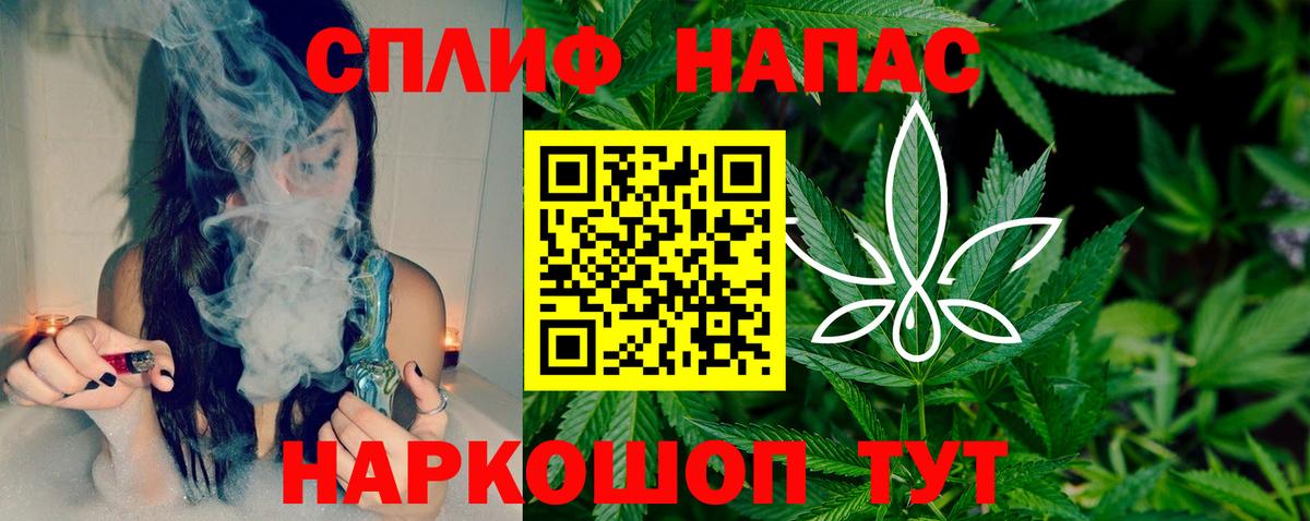 Бошки марихуана сатива Пугачёв